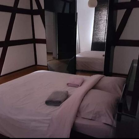 Spacious Appartement Colmar 2 Exterior photo